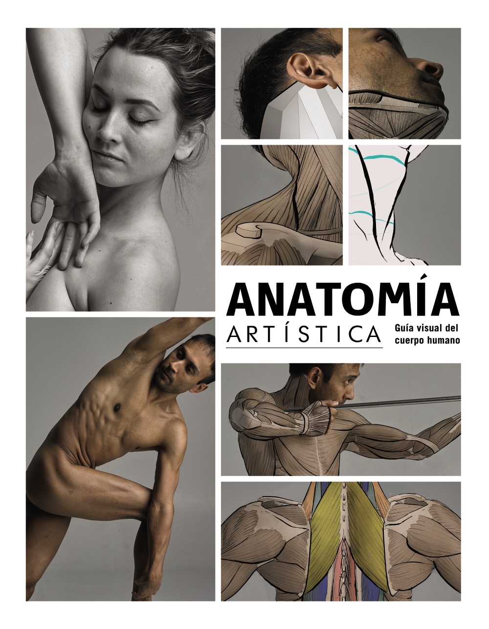 Anatomía artística - Anaya Multimedia